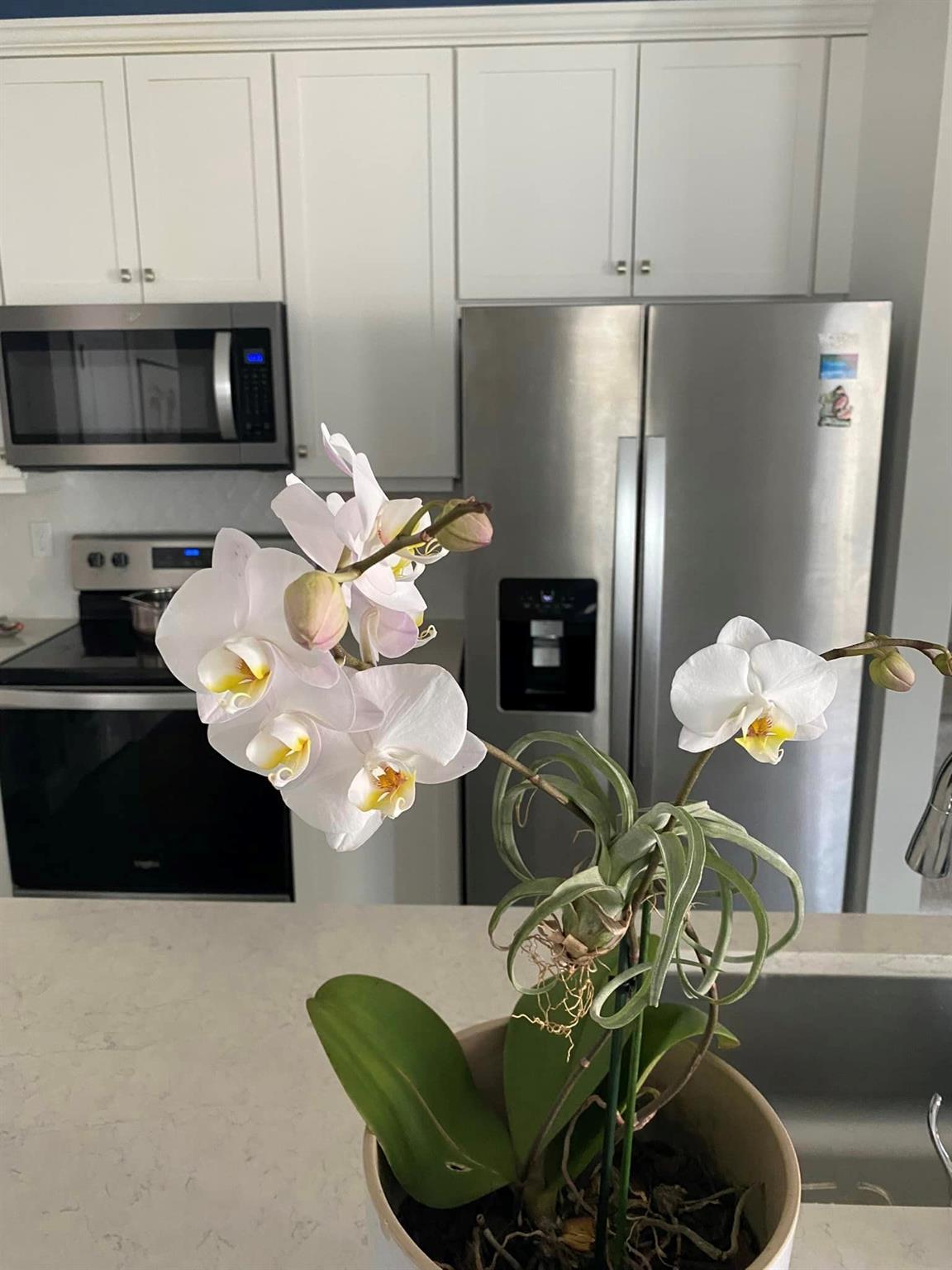 Sandpiper Pointe - Residential