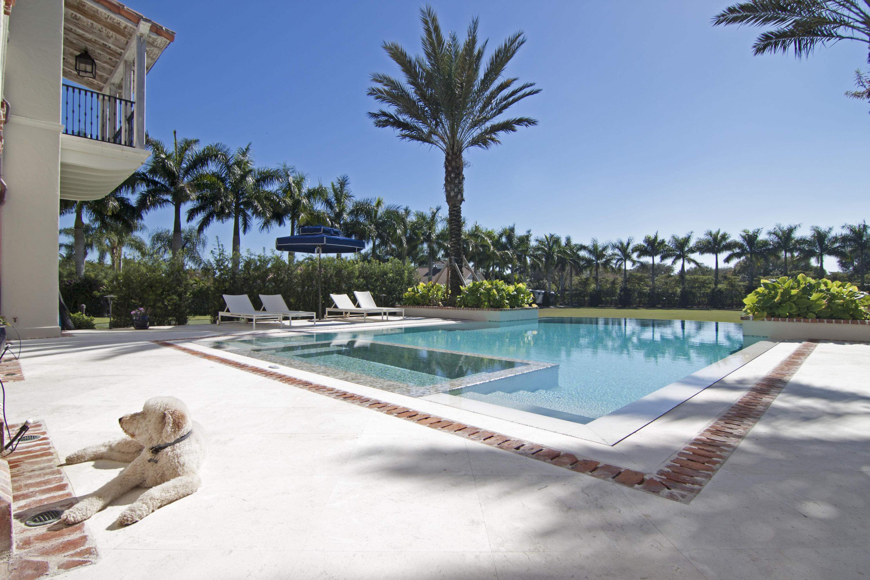 SADDLE TRAIL PARK OF WELLINGTON - Residential