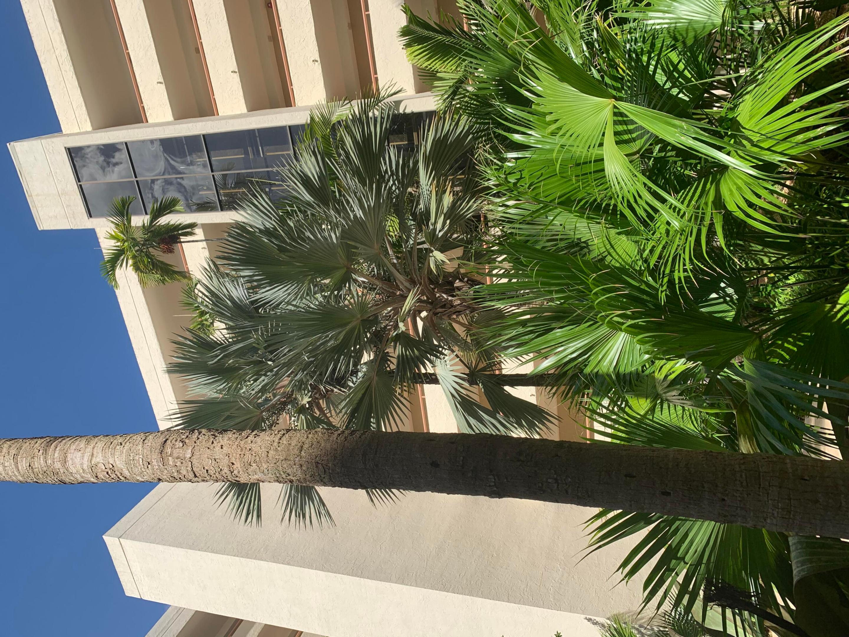 23200 Camino Del Mar 204