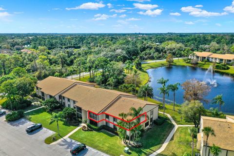 A home in Palm City