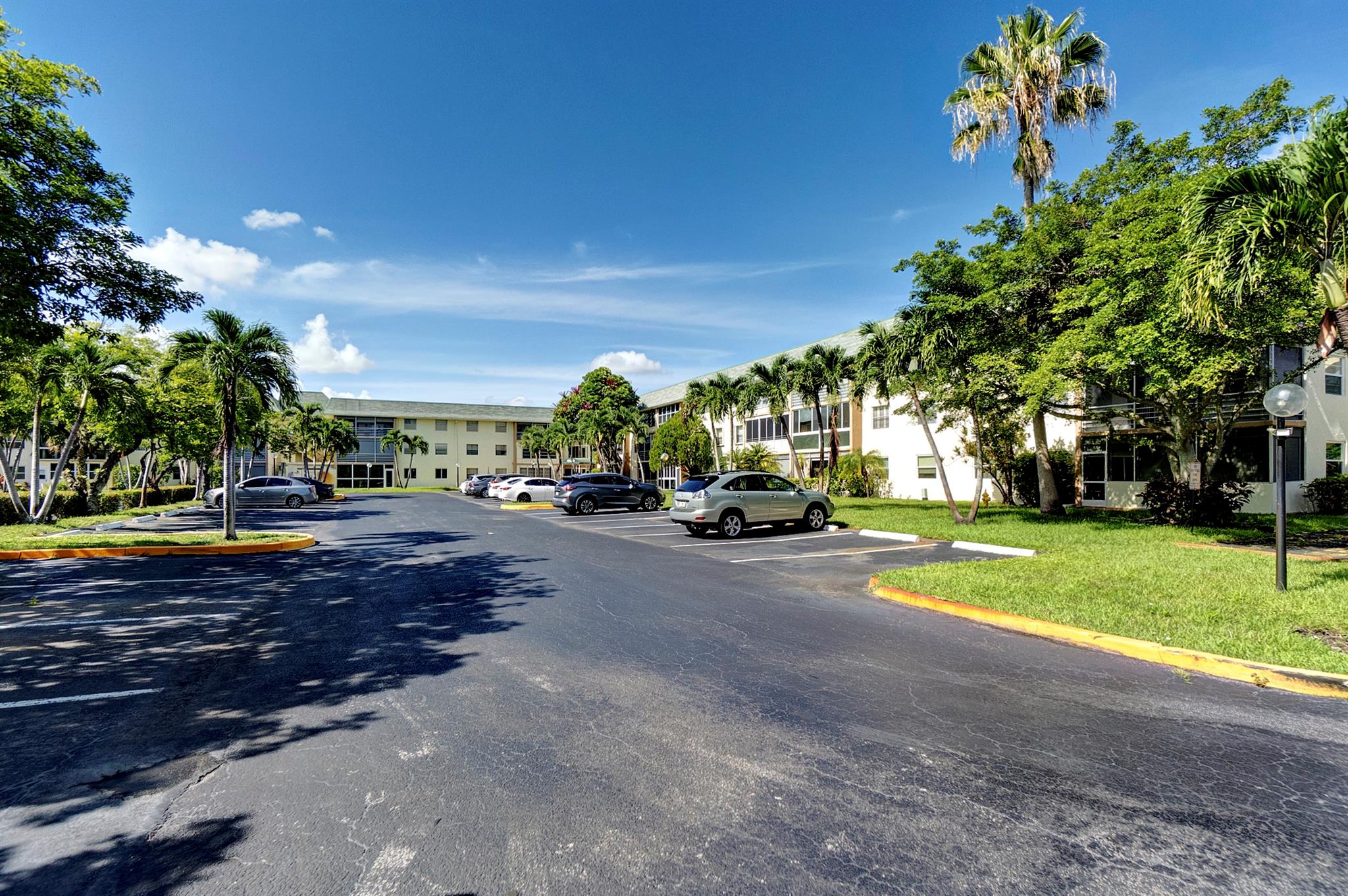 Sabal Palm - Residential