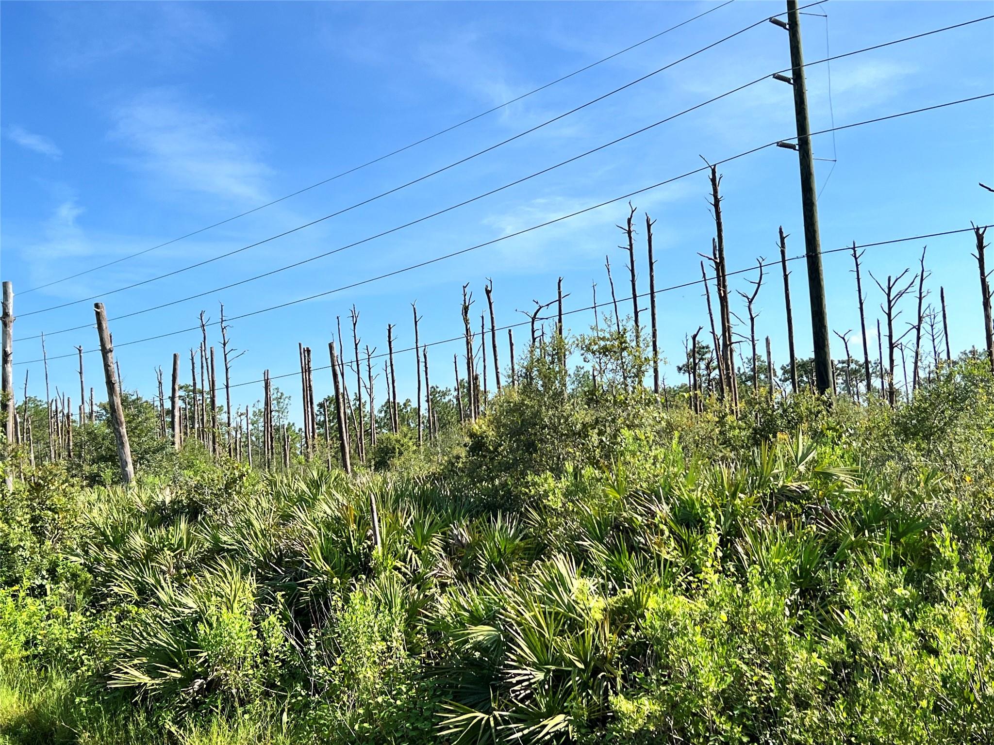 Lake Montaza Estates Sec - Land