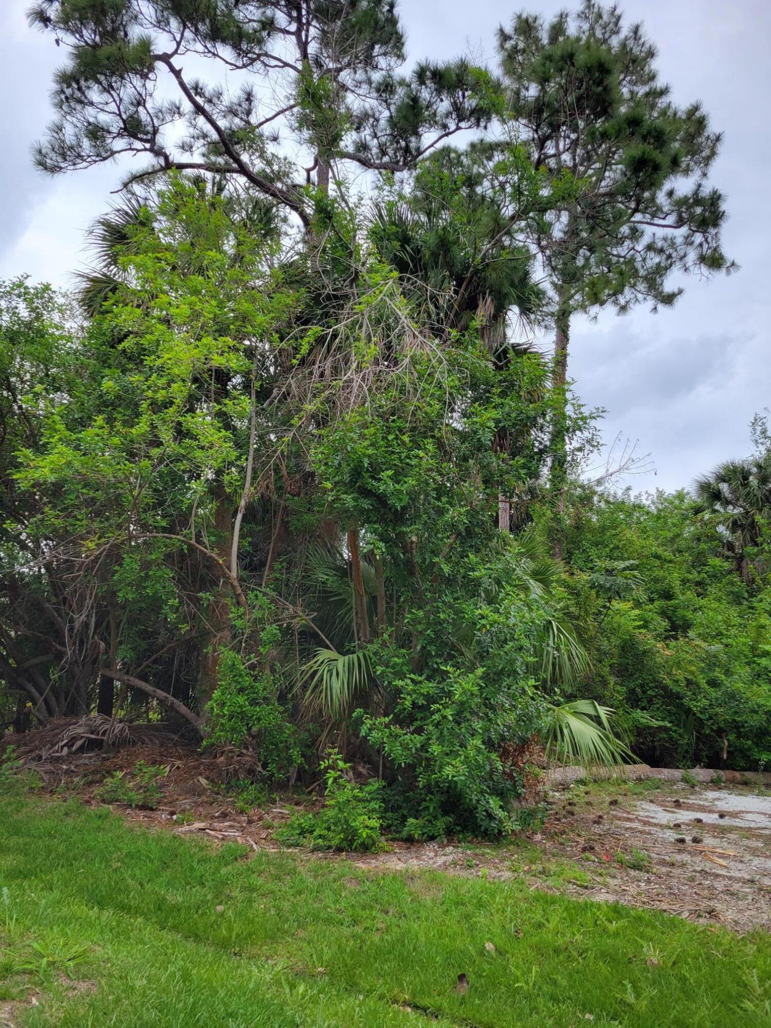 PORT ST LUCIE SECTION 23 - Land