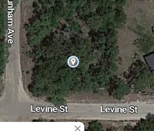 Xxx Levine Street