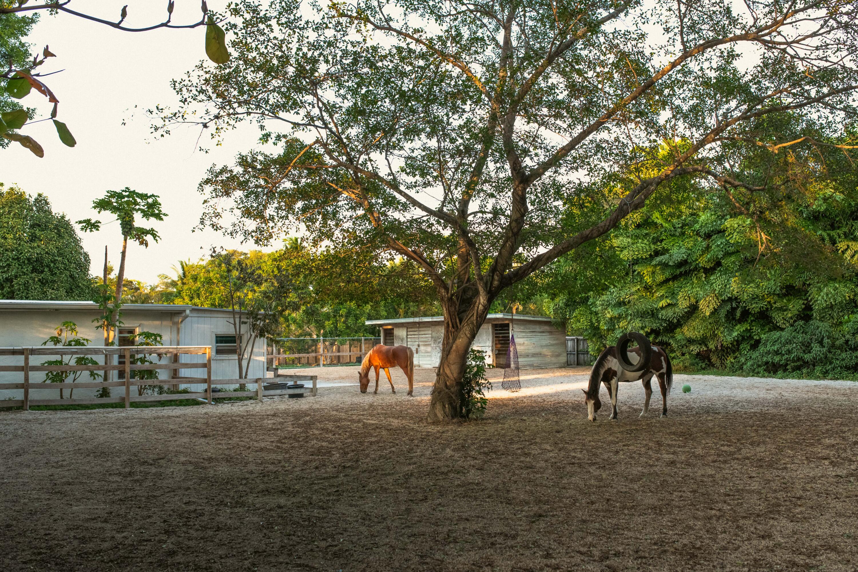 East Kendall - Residential
