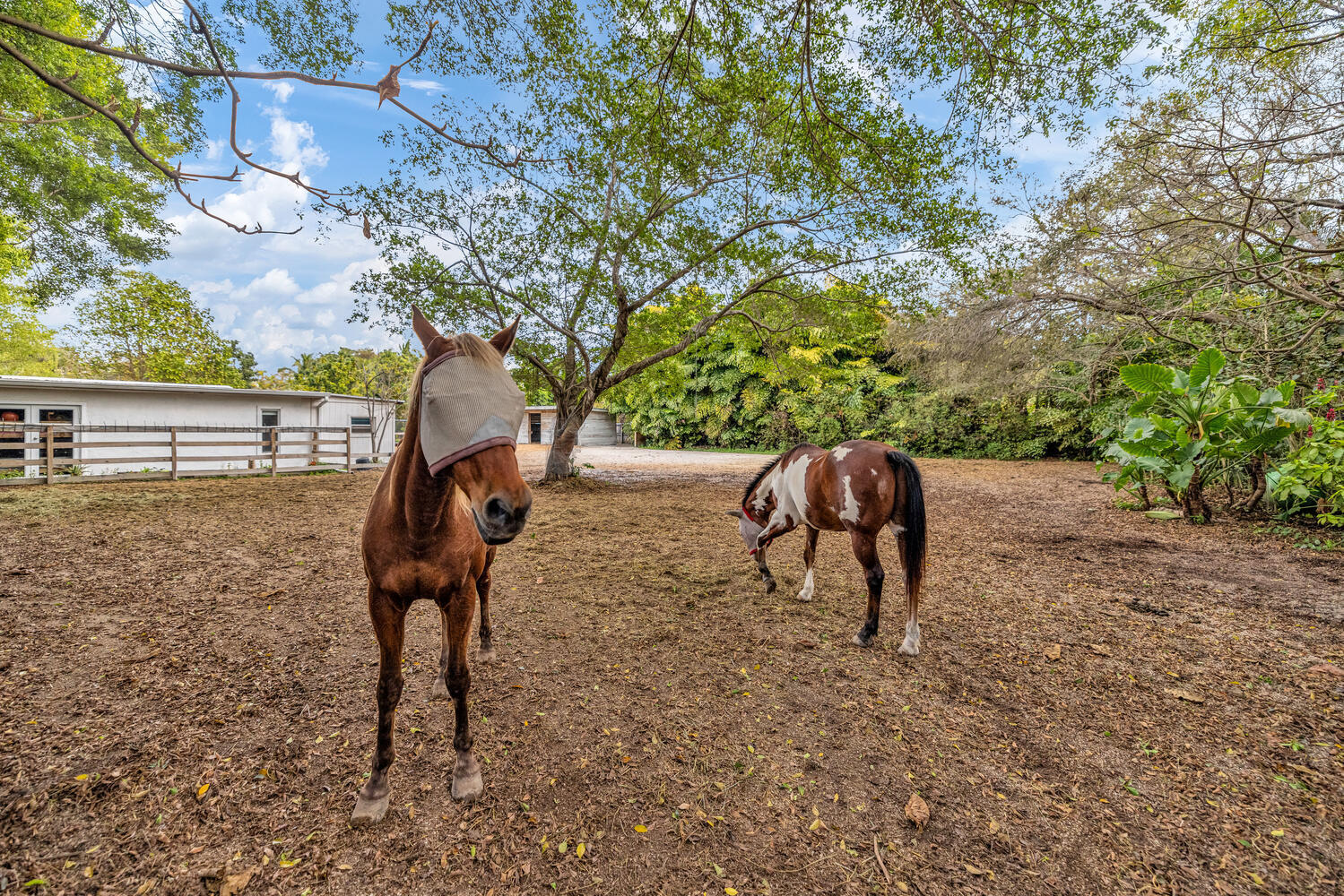 East Kendall - Residential