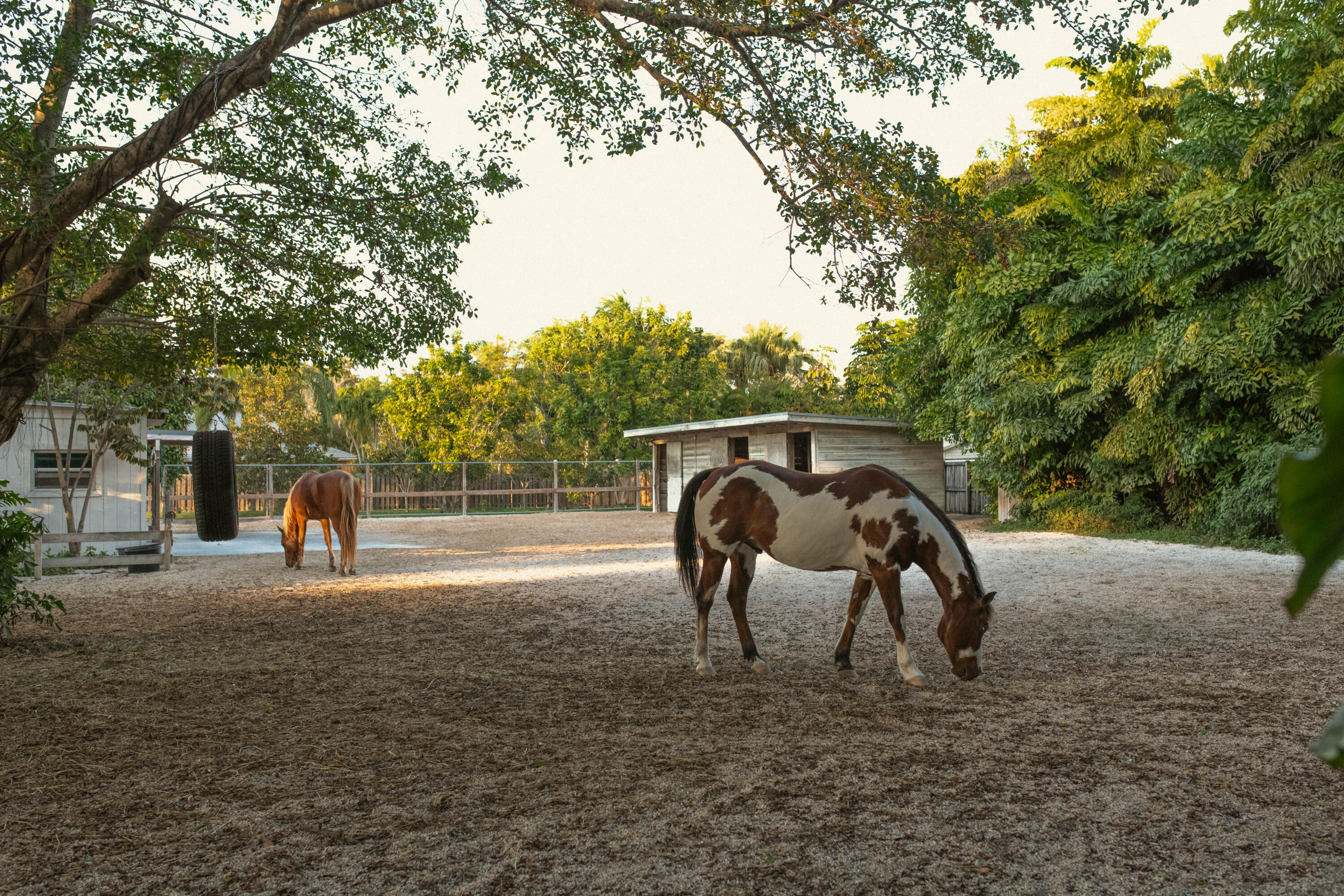 East Kendall - Residential