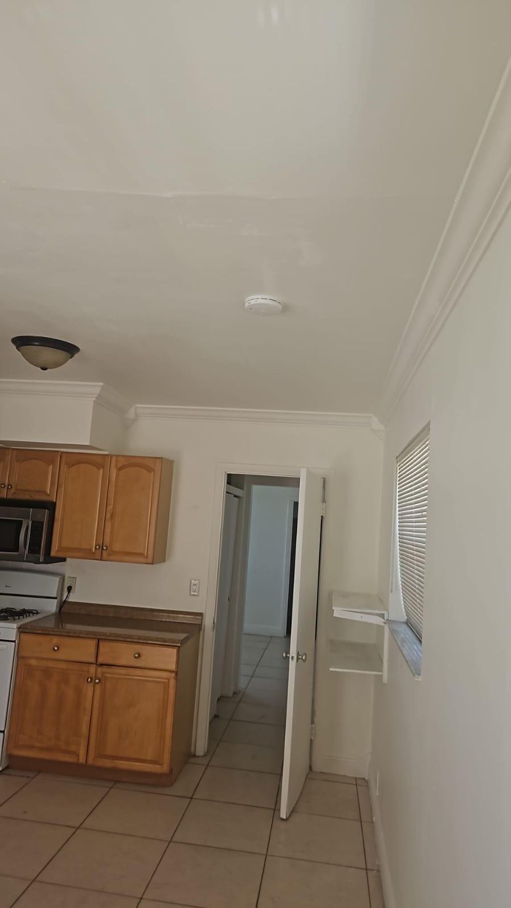 Photo of 2438 Thomas Street #Rear, Hollywood, FL 33020 (MLS # B26032076)