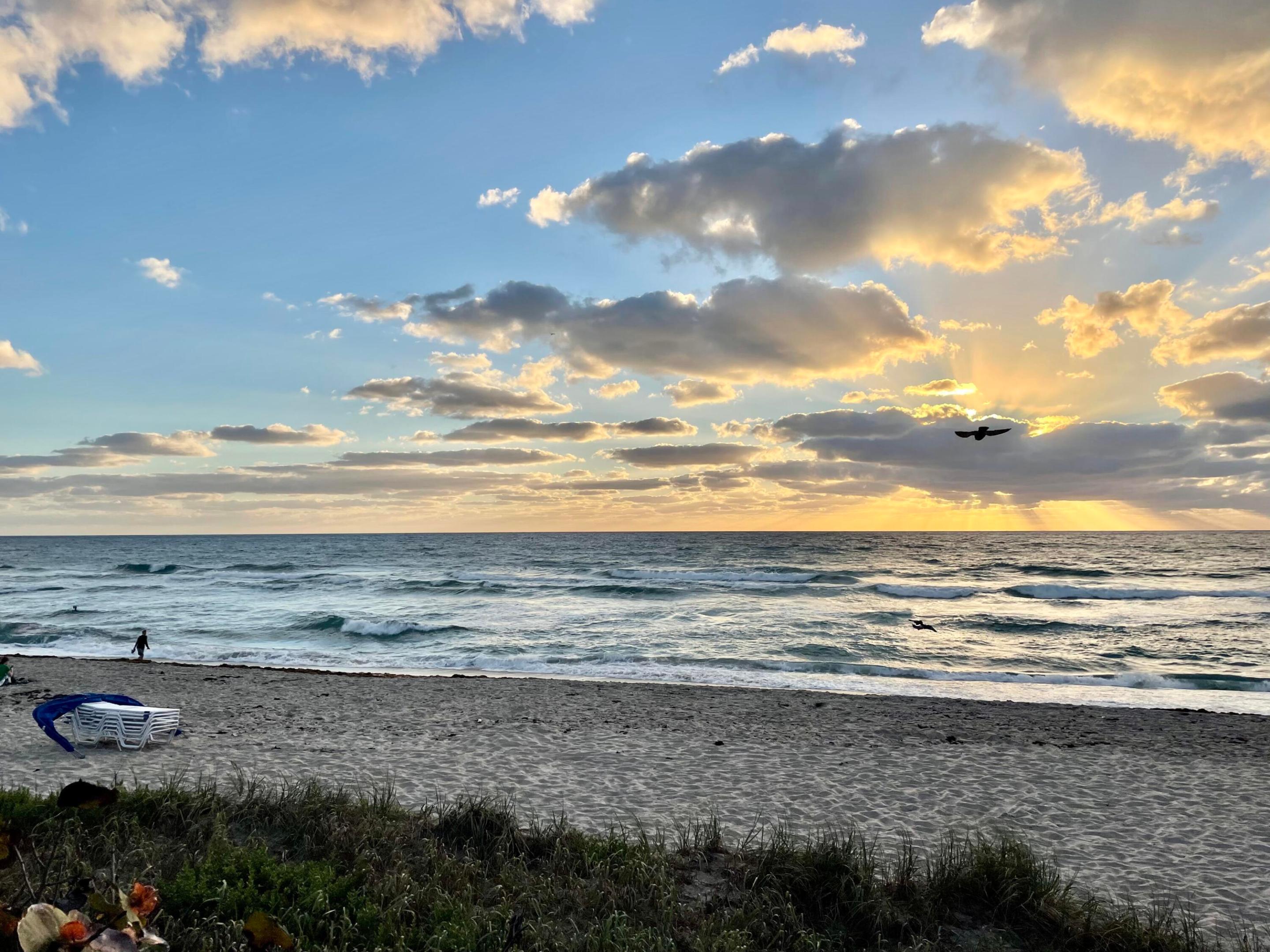 LAKE WORTH TOWN OF ADD 1 - Residential Lease