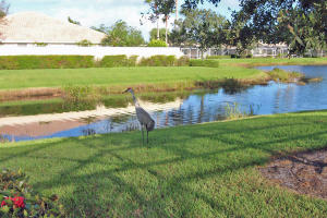 DOUBLE TREE PLAT 1,  Lost - Residential