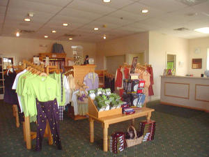 DOUBLE TREE PLAT 1,  Lost - Residential