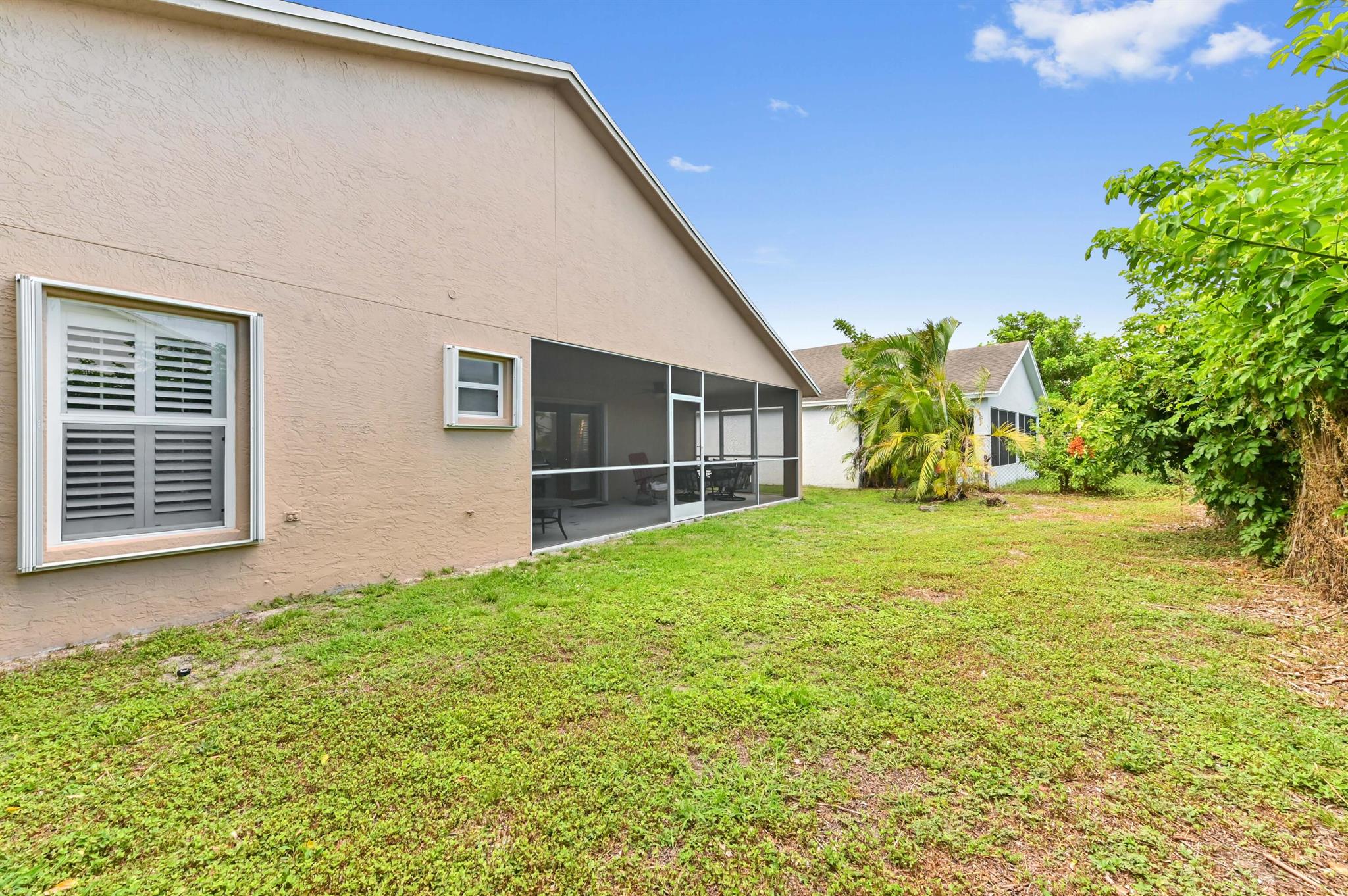 OLIVE TREE - Residential