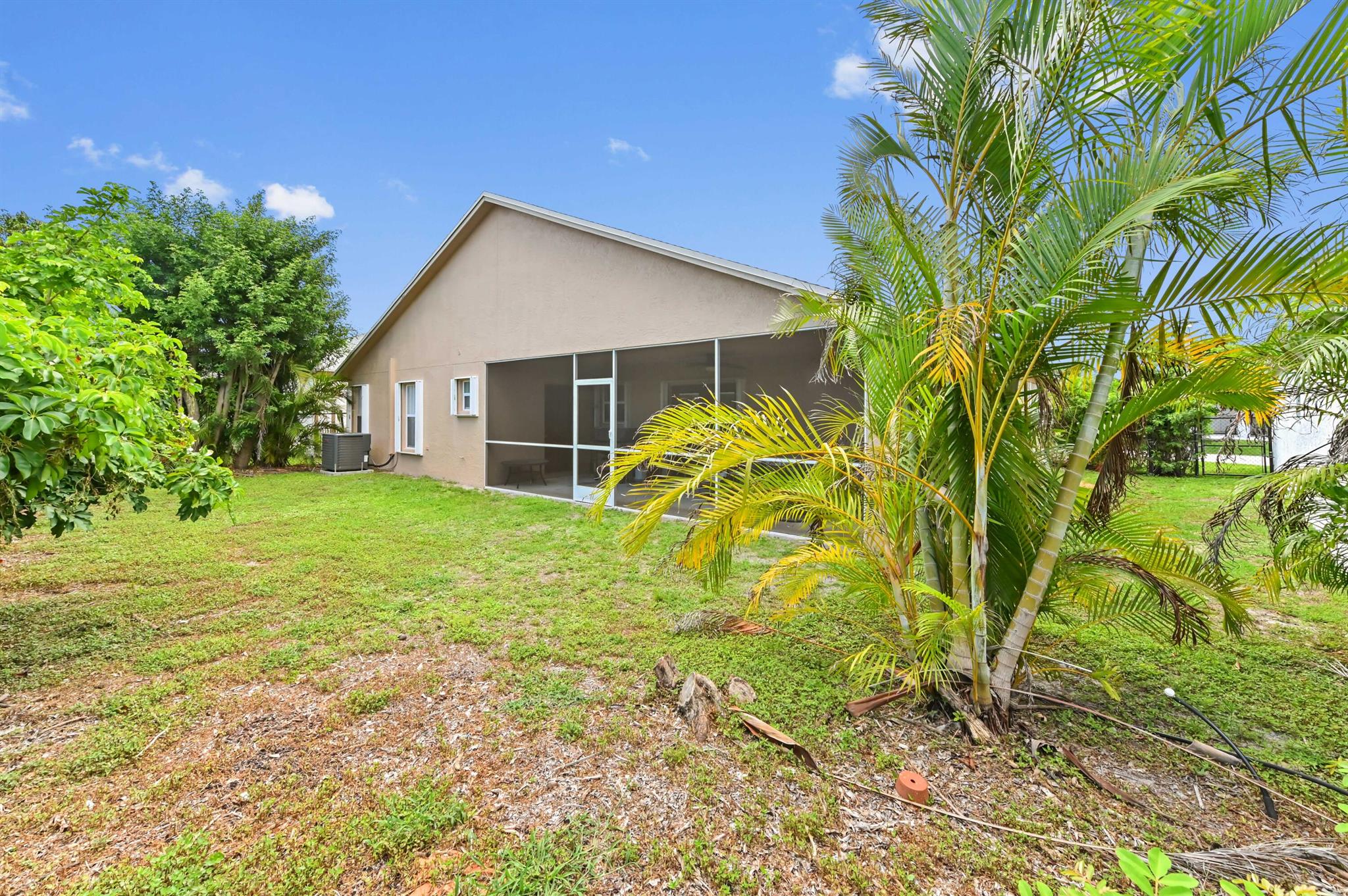 OLIVE TREE - Residential