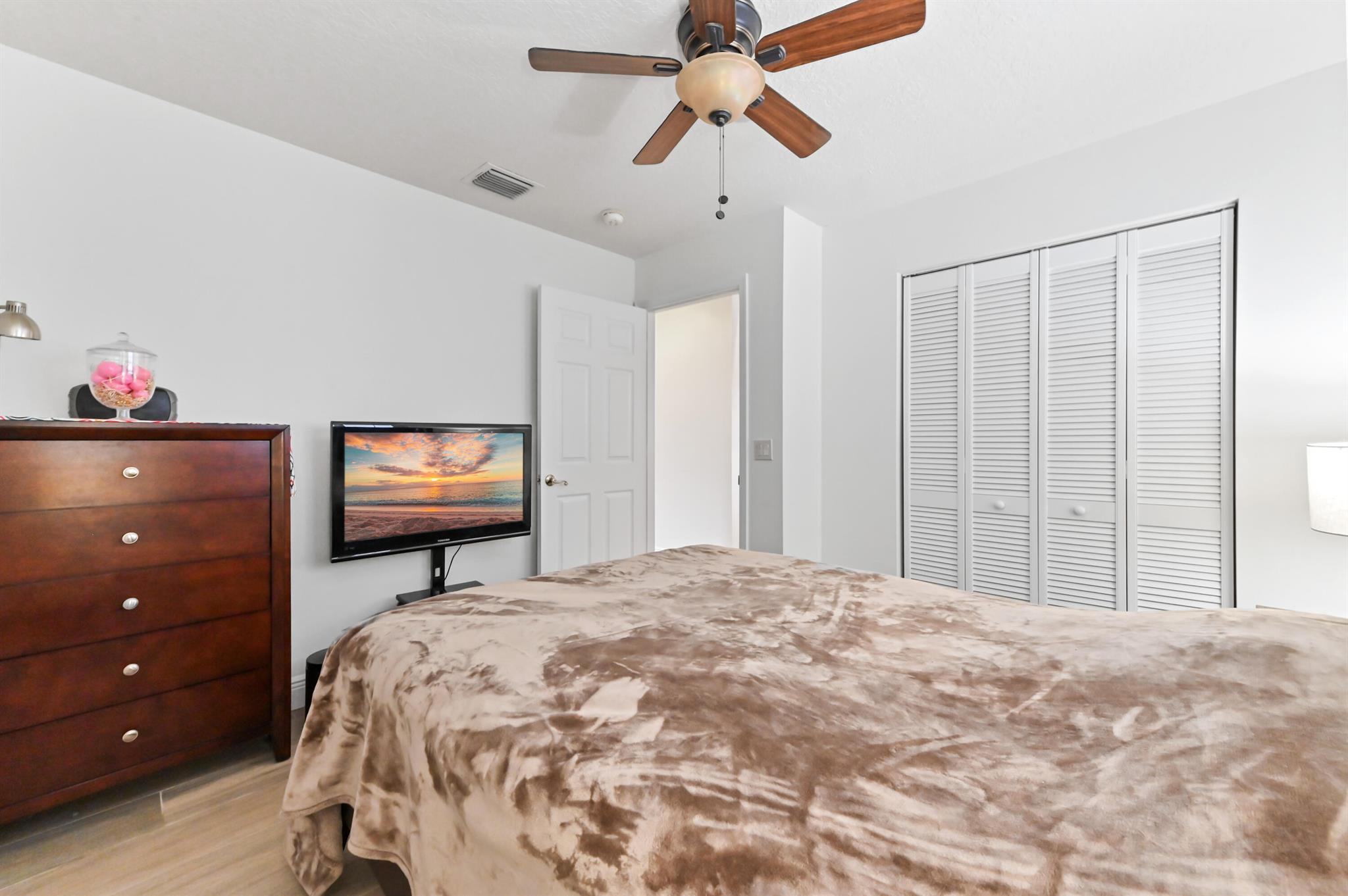 OLIVE TREE - Residential