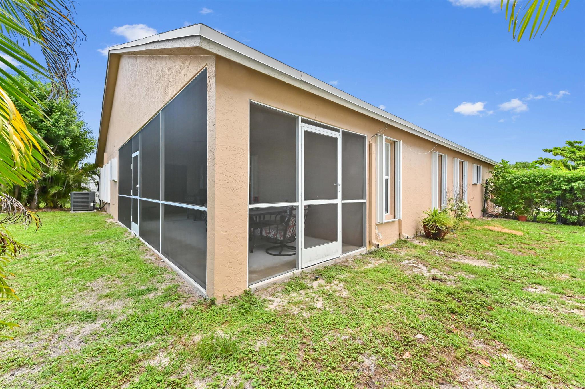 OLIVE TREE - Residential