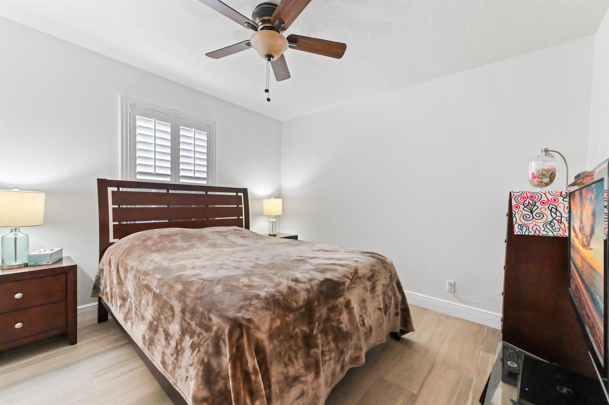 OLIVE TREE - Residential