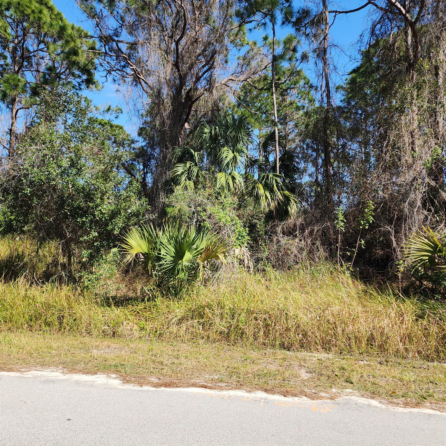 High and dry lot in an area with new homes. No HOA. Come build your dream home today.