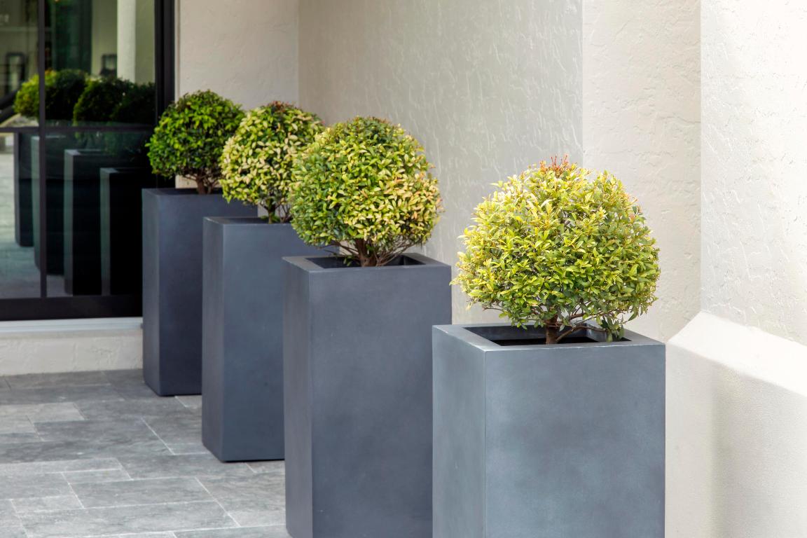 VINTAGE ESTATES - Residential Lease