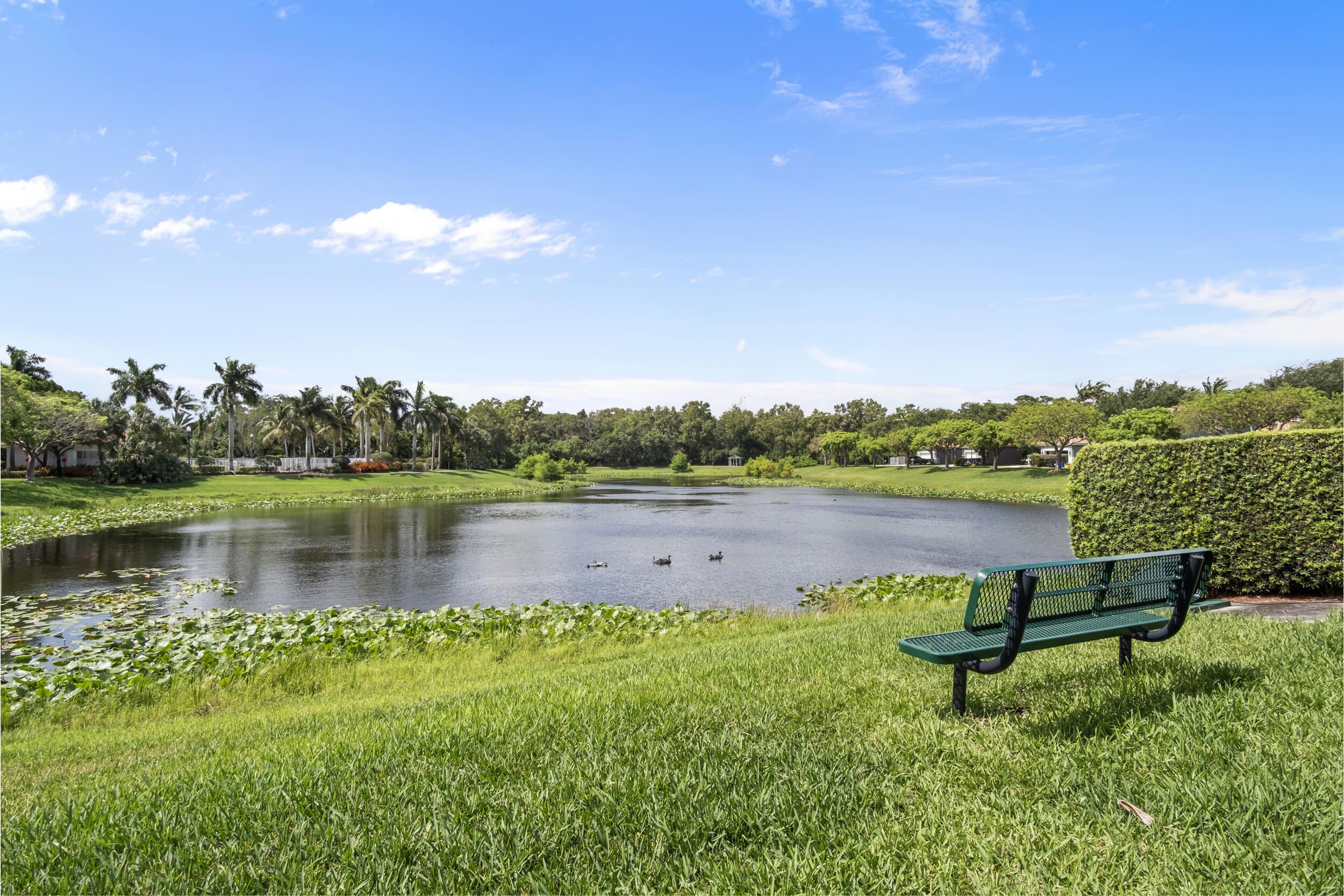 BEXLEY PARK - Residential