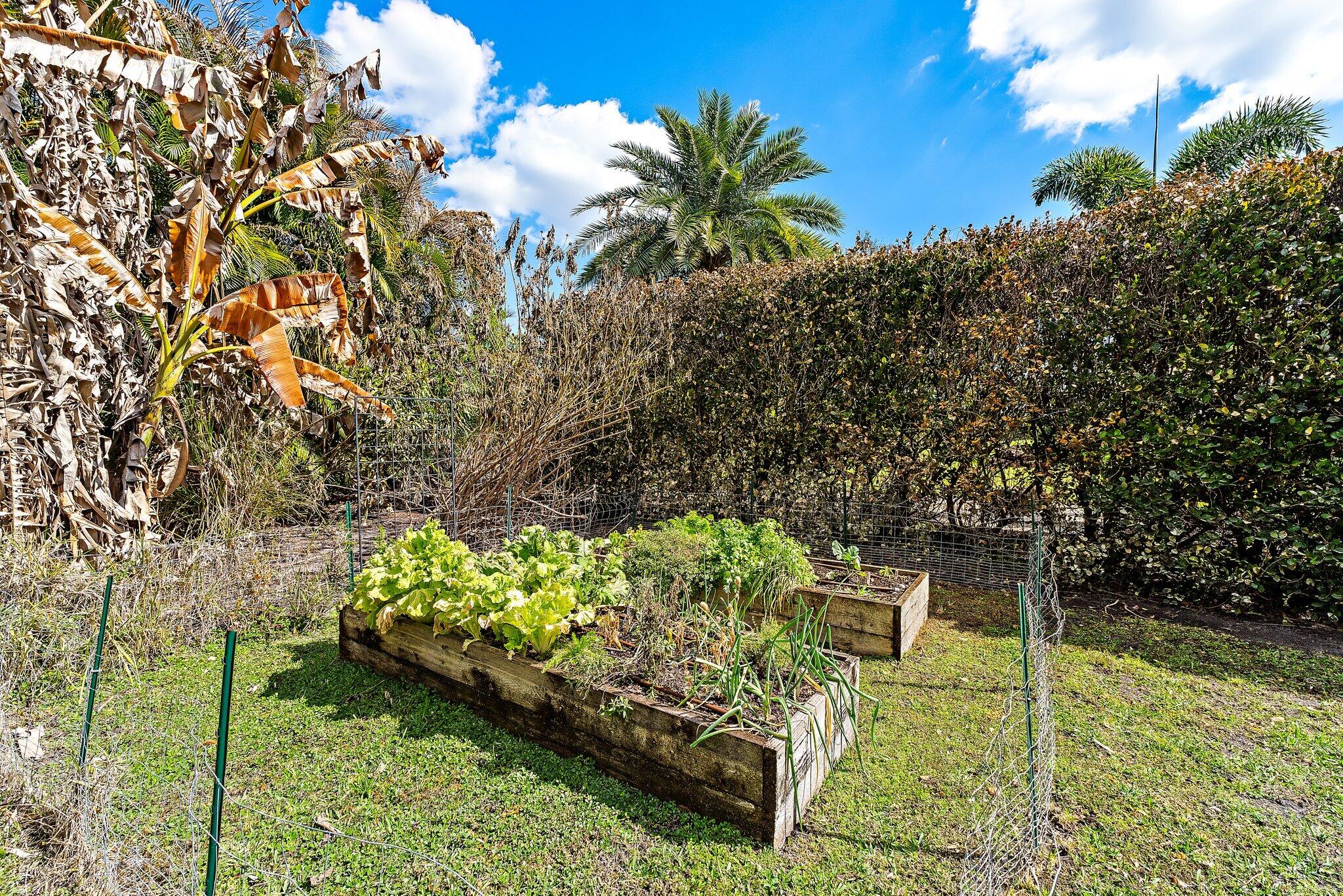 Palm Beach Country Estates - Residential