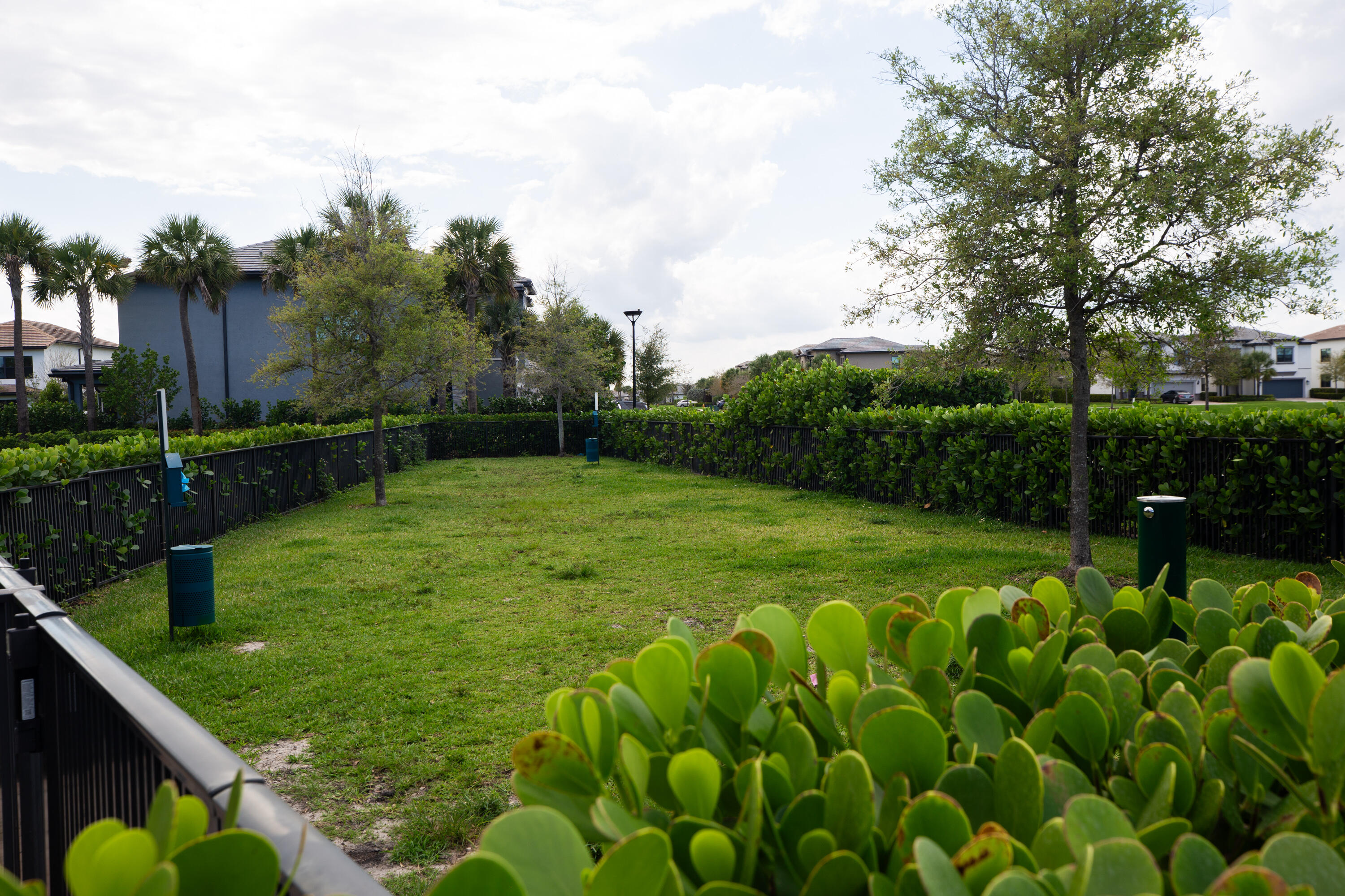 OAK TREE PROPERTY REDEVELOPMENT - Residential