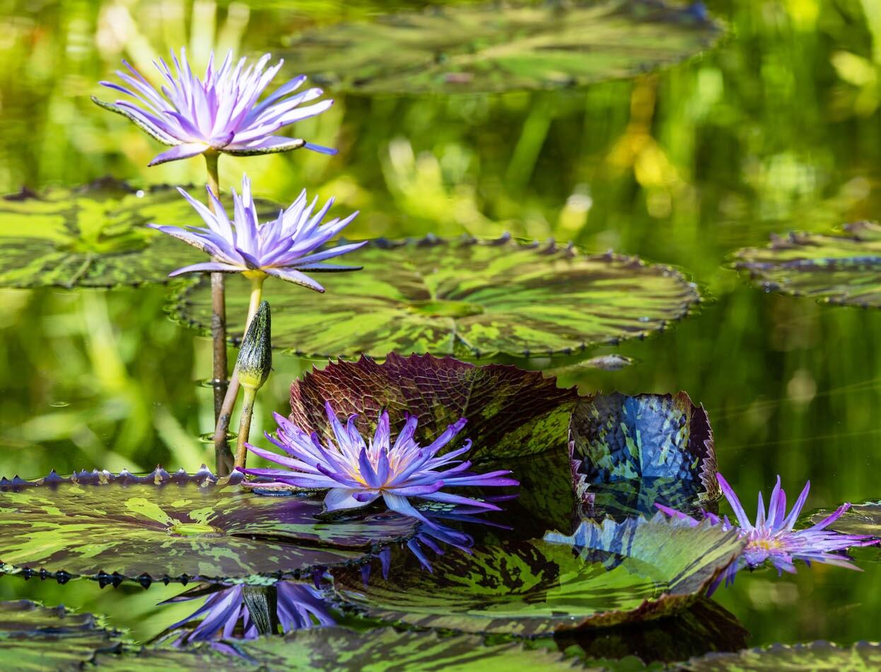 SEBASTIAN HIGHLANDS UNIT 14 - Residential Lease