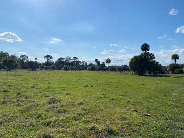 TROPICAL FRUIT FARMS - Land