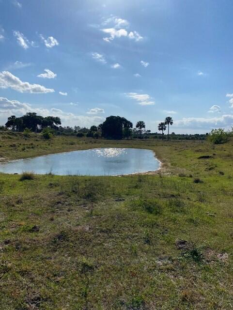TROPICAL FRUIT FARMS - Land