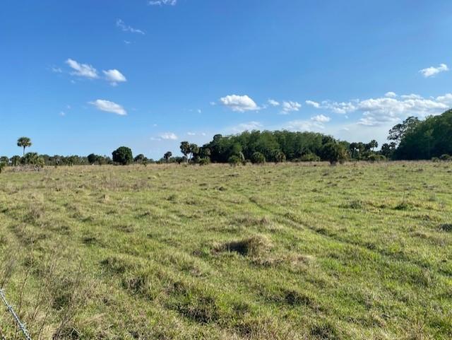 TROPICAL FRUIT FARMS - Land