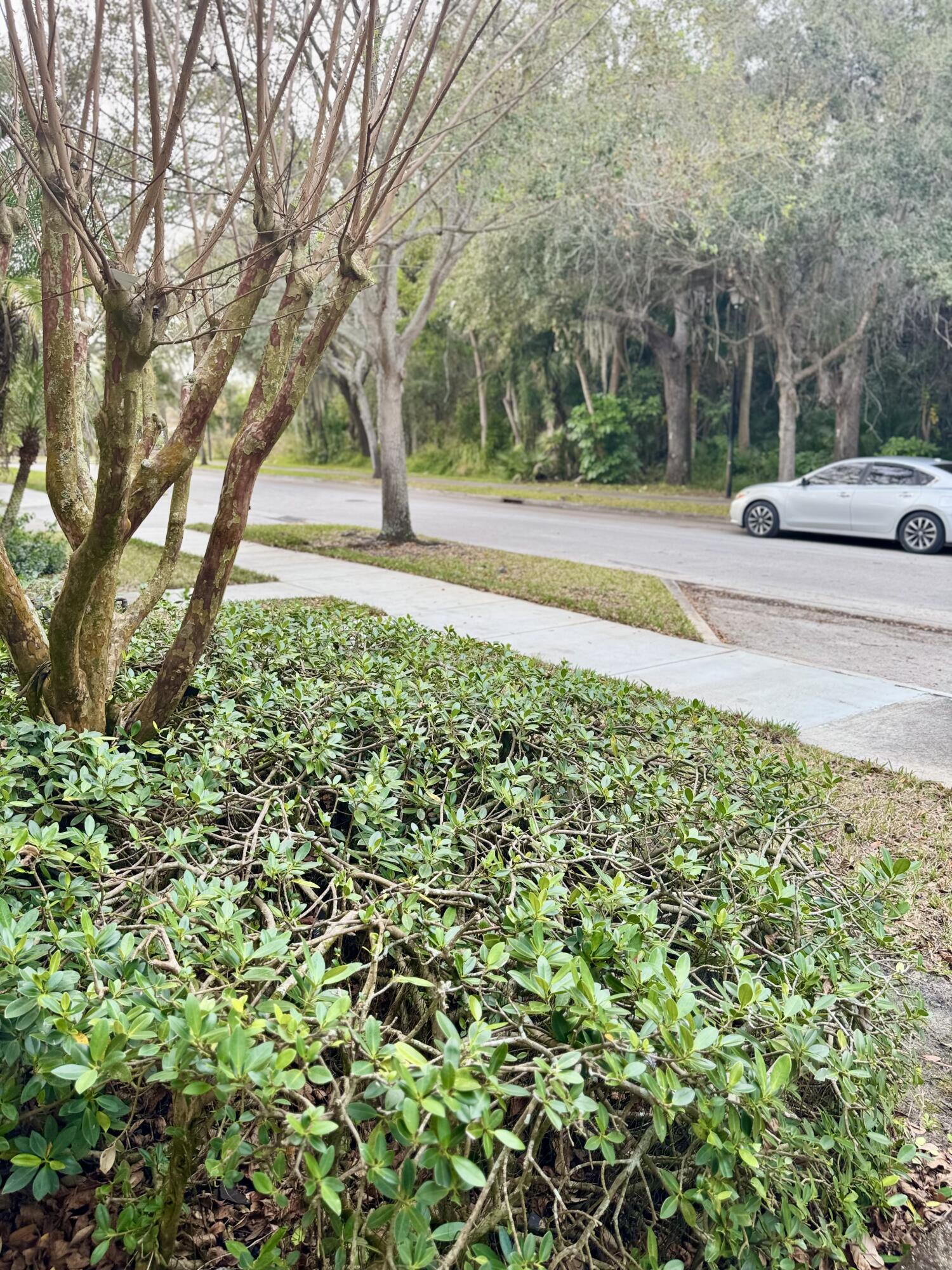 EAST LAKE VILLAGE NO 3 - Residential