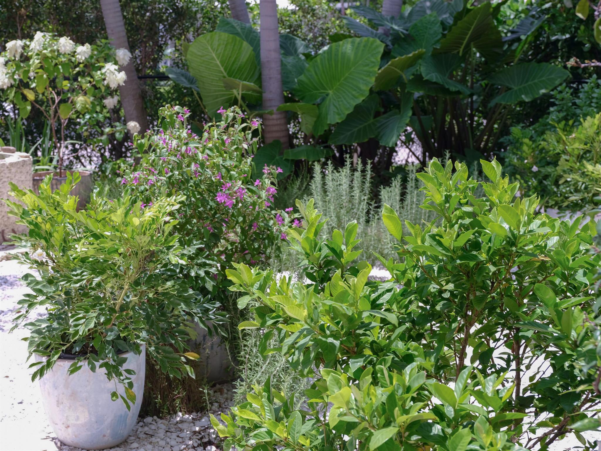 EDMOR ESTATES - Residential