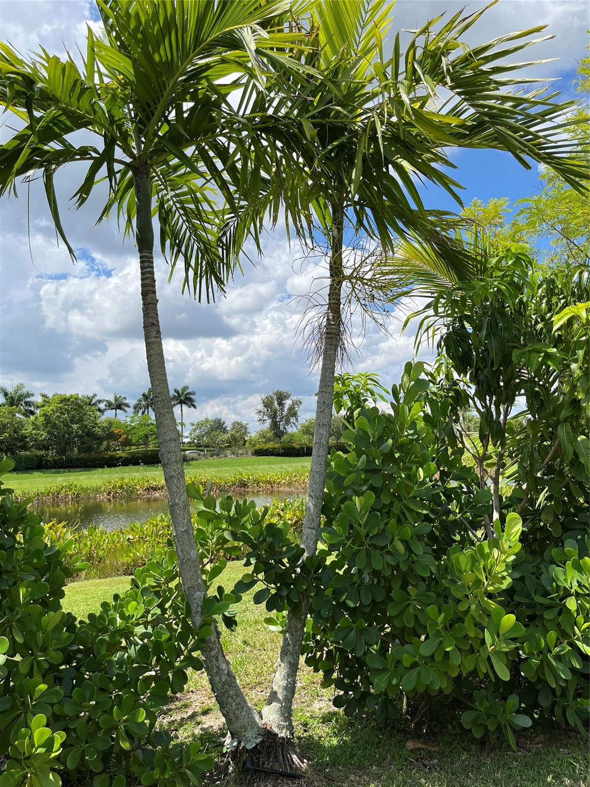 Hammocks of Westlake - Residential