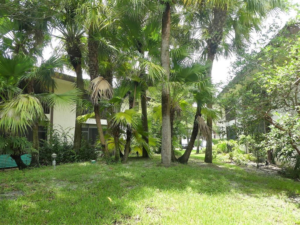 BOCA RIDGE CONDO - Residential