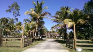 CALOOSA 1ST ADD - Residential