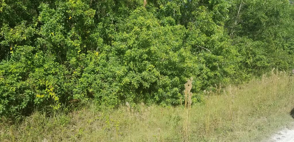 Excellent location, close to Okeechobee Blvd Looking for peace and tranquility. Then this lot is for you! High and dry lot just 3 lot from a paved road - perfect for your dream home. Five minutes to shopping and schools. And absolutely no HOA!!!