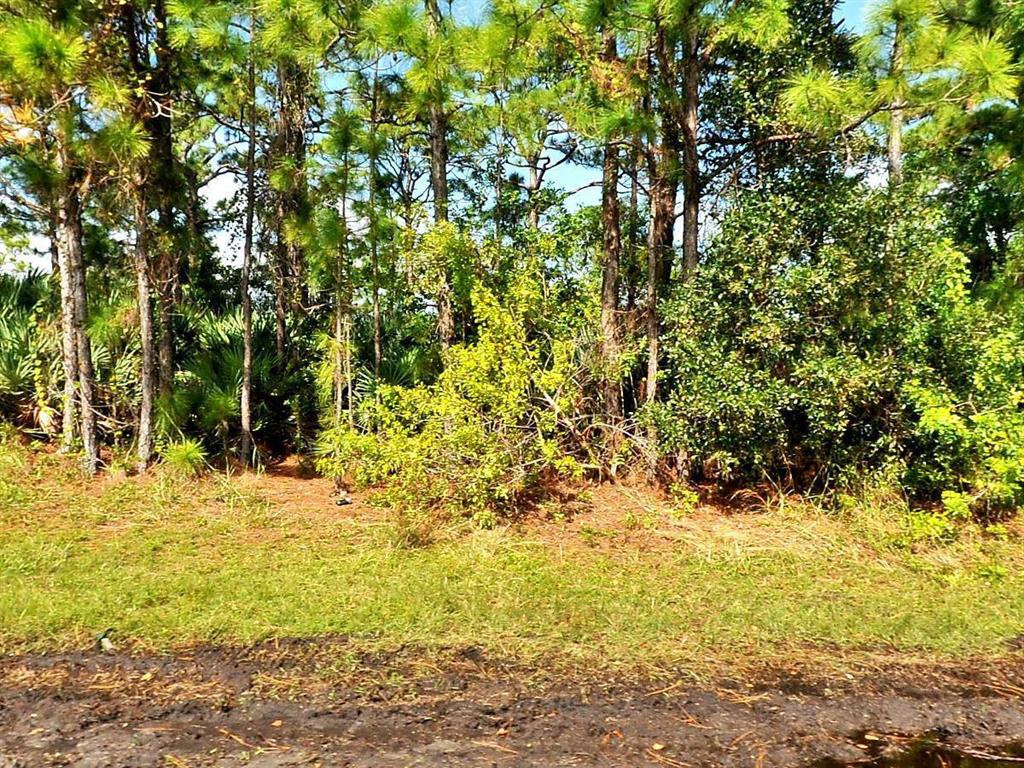 PORT ST LUCIE SECTION 30 - Land
