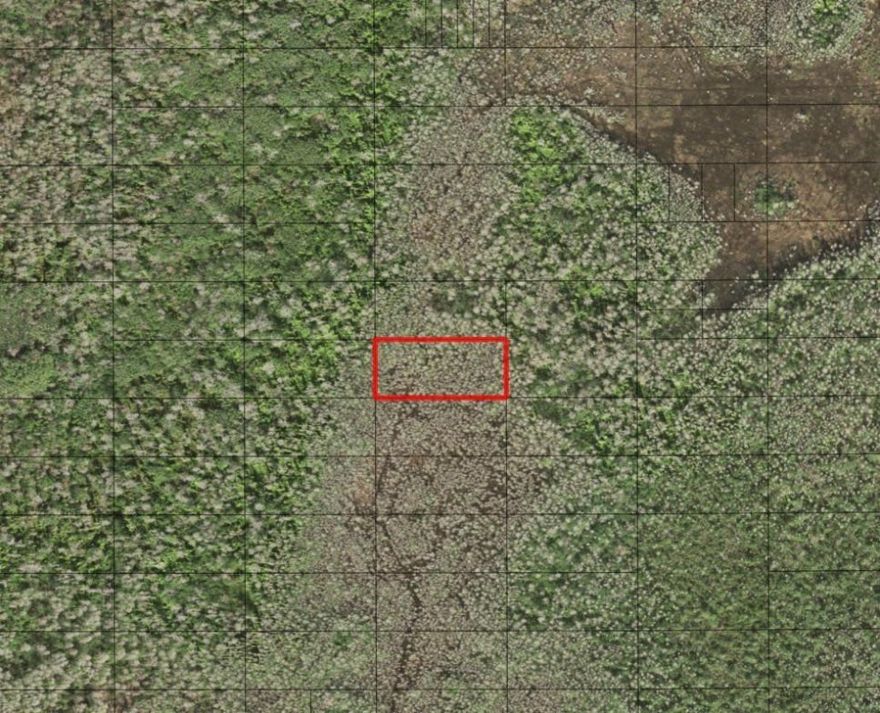 Property in Holopaw. camp, hunt and recreational land.Owner financing available