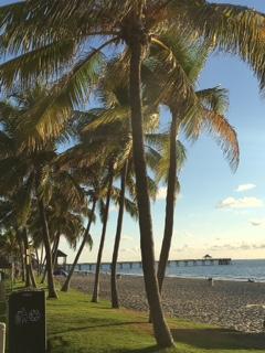 SEA ESTA CONDO - Residential