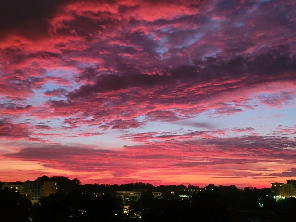 OCEAN TOWERS - Residential