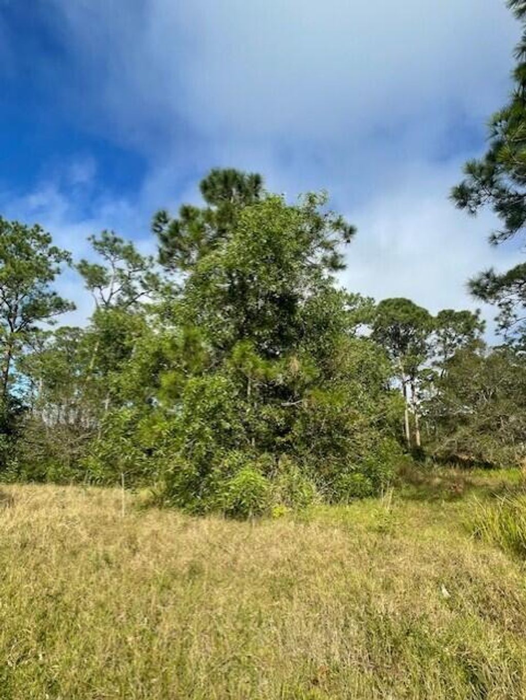 Photo of 10614 Lighter Wood Lane, Fort Pierce, FL 34945 (MLS # R11058175)