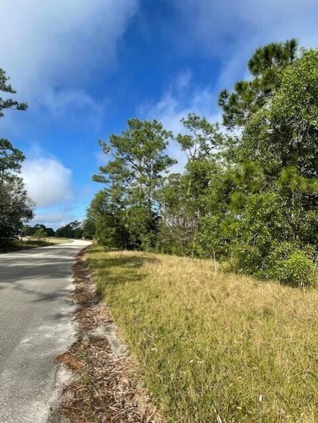 Photo of 10614 Lighter Wood Lane, Fort Pierce, FL 34945 (MLS # R11058175)