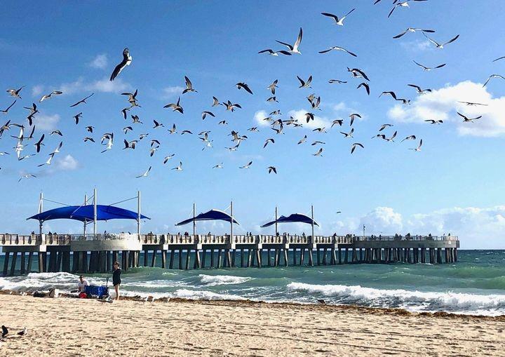 Century Plaza Condo - Residential Lease