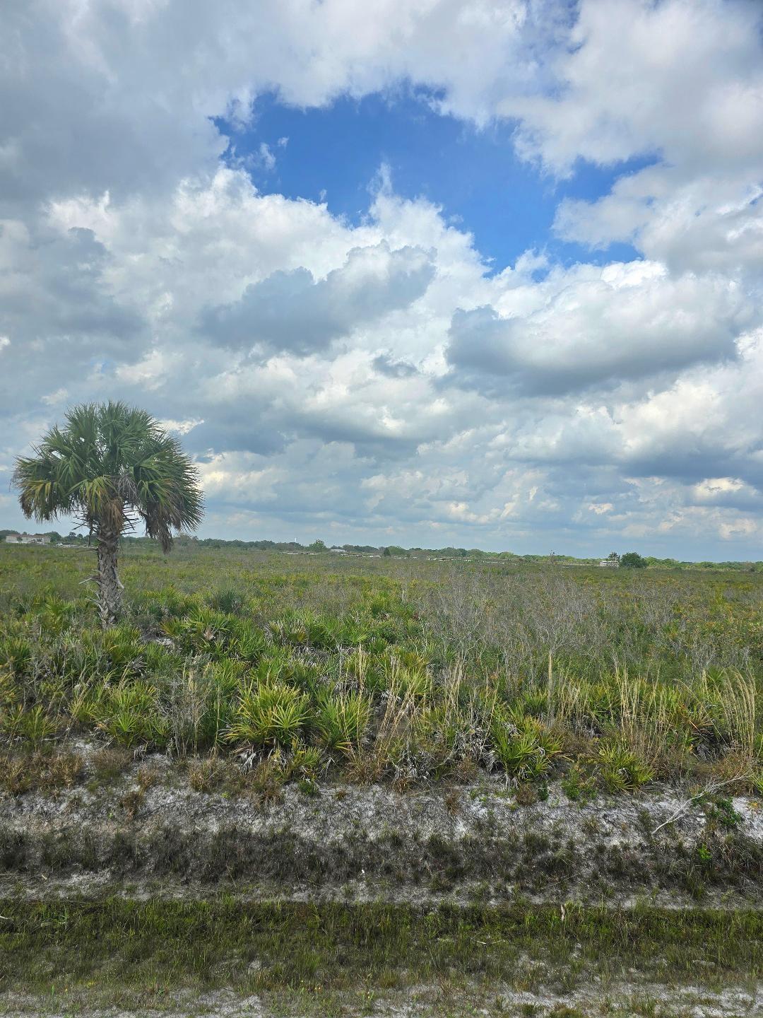 Southern Colonization Co - Land