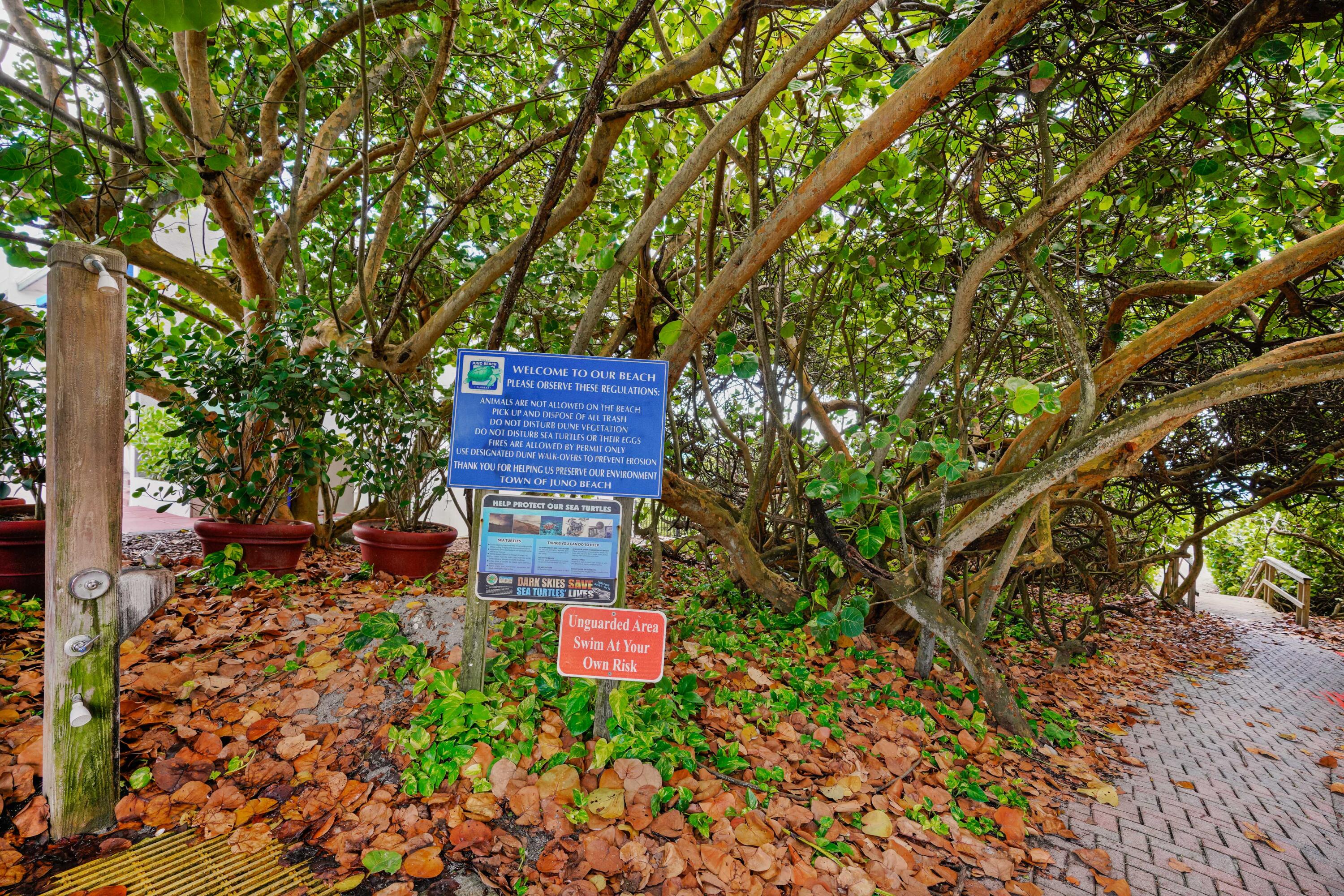 Juno By the Sea North, The Manor - Residential