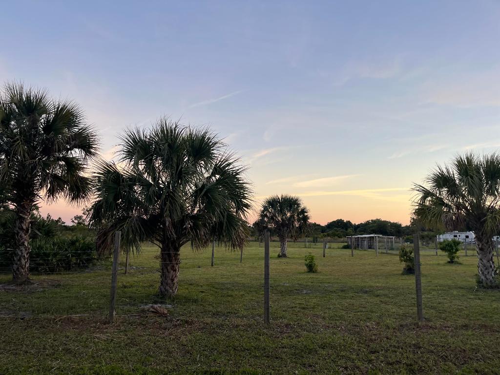 THE SOUTHERN COLONIZATION COMPANY PLAT - Residential