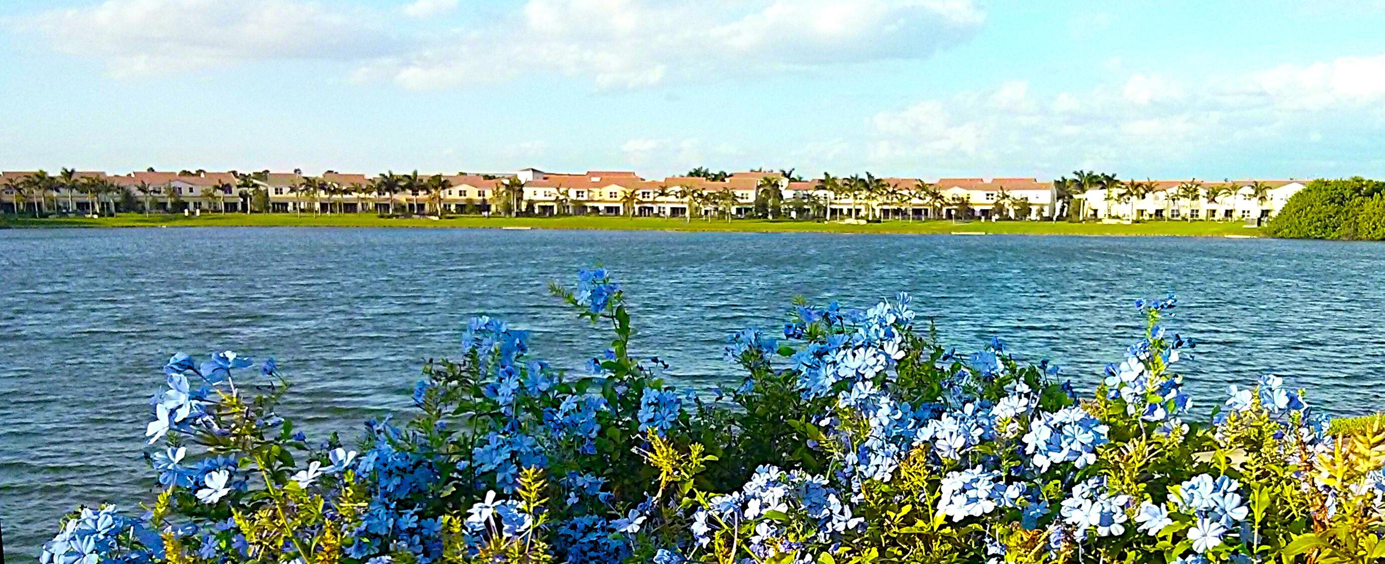 Centra BLUE LAKE TOWNHOMES - Residential