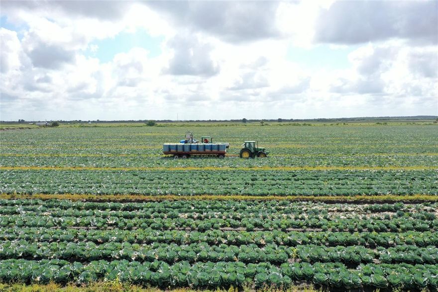 Prime Irrigated Agricultural Opportunity! For sale: 85-acre laser-leveled farm, currently producing cabbage with an open field hydroponics irrigation system. The property features an 8" well, a 2" well, and three-phase electric—perfect for a cooler, packing house, or expansion. Excellent water supply and infrastructure support high-efficiency farming. Located off a paved road for easy access. Whether you're continuing row crop production or looking to diversify, this turnkey operation is ready for your vision. Asking $1,266,500.