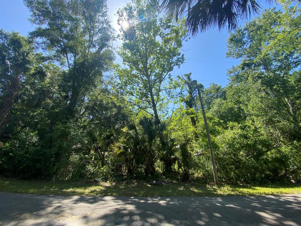 CRYSTAL RIVER (CITY OF) - Land