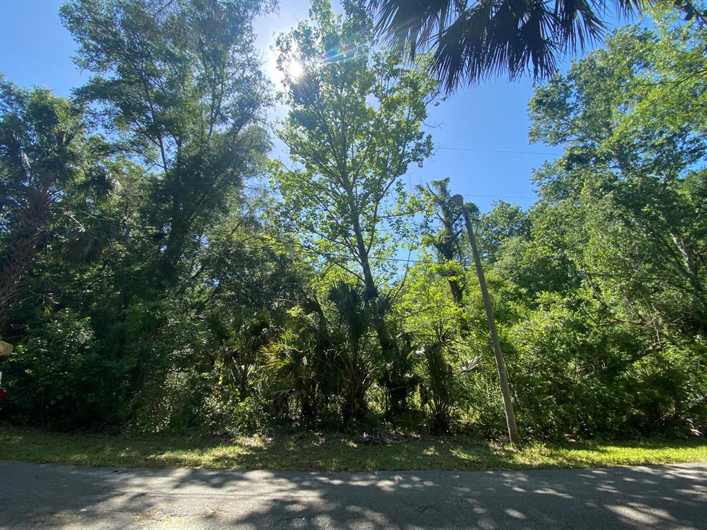 CRYSTAL RIVER (CITY OF) - Land