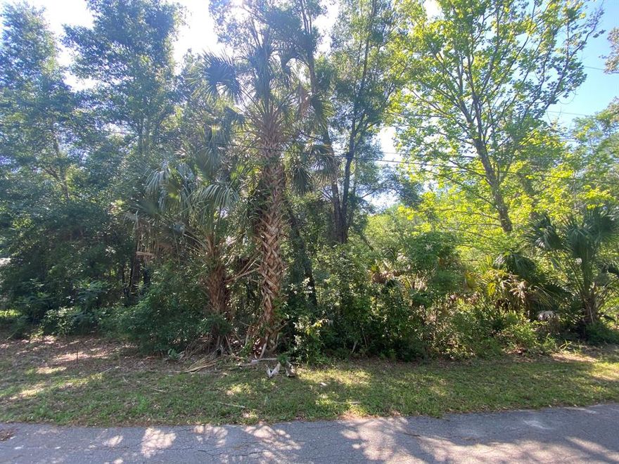 SELLER FINANCING AVAILABLE on this .71acre buildable lot, in Crystal River. This lot is located within just a few miles or Crystal Rivers Gulf and natural spring attractions sure to please any adventurer or fishing enthusiast. THIS HOMESITE is located on a paved road. Come and envision your new home on this flat, roomy lot with nice trees.